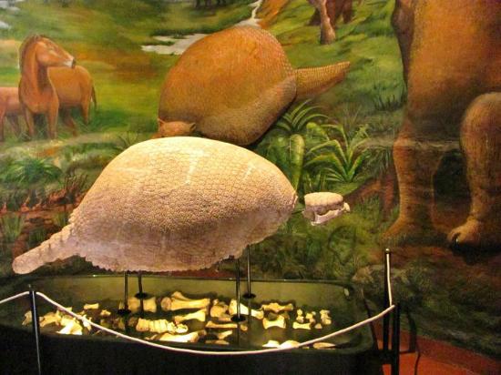 Primera sala del museo histórico regional Cusco