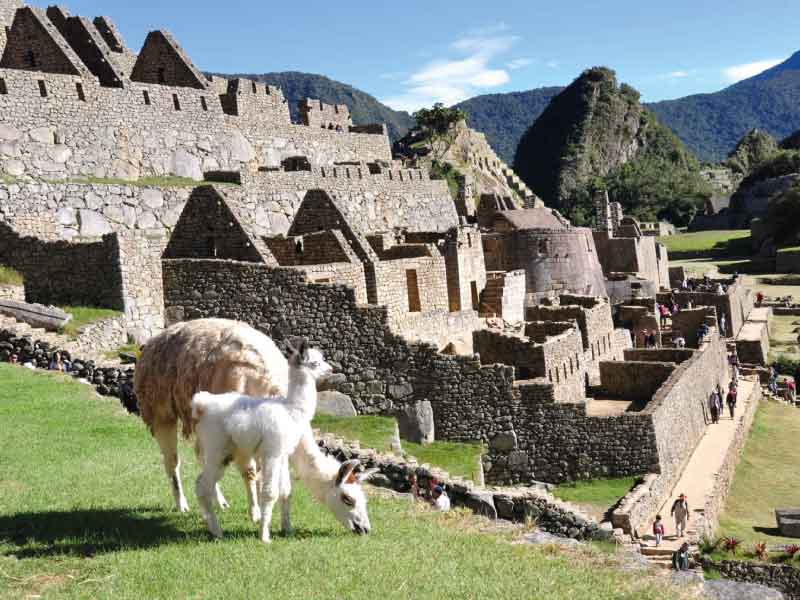 Machupicchu viajes