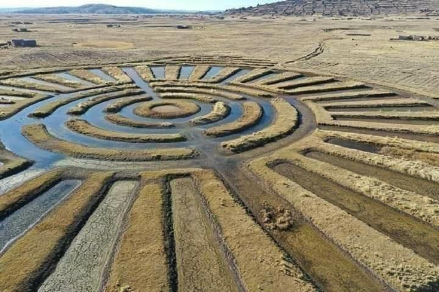 Camellones un sistema agricola inca